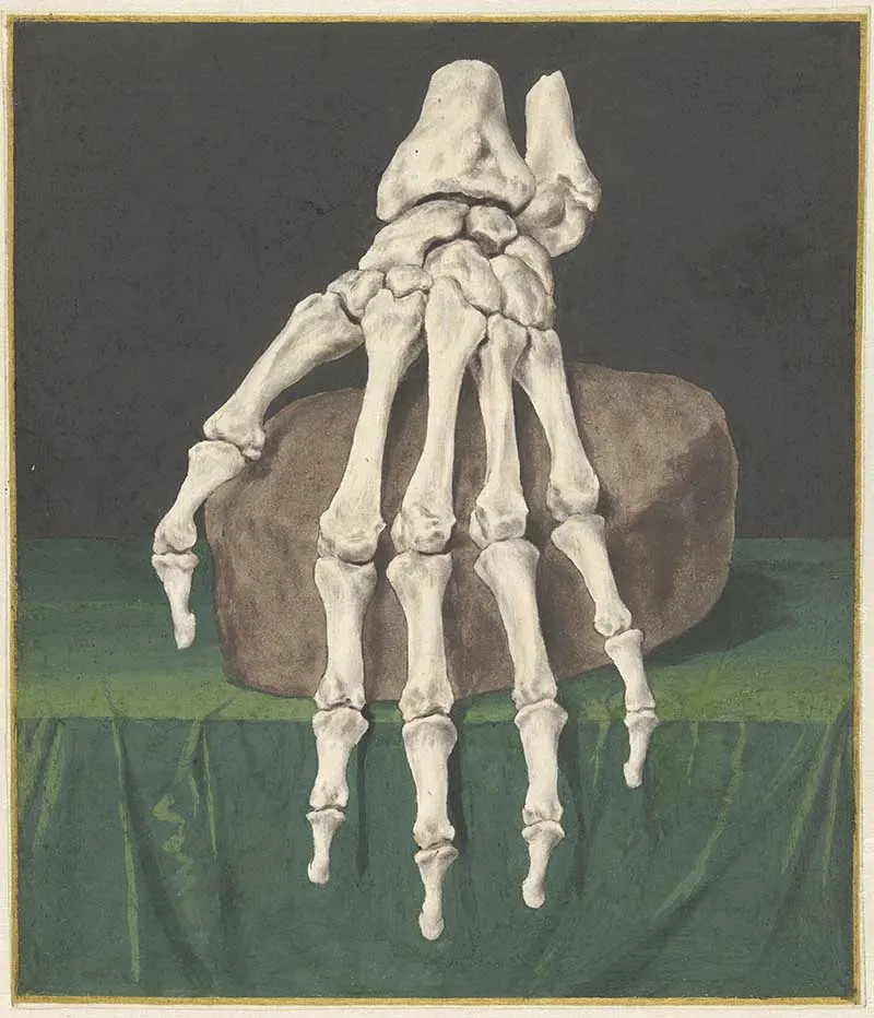 Vintage Halloween Art skeleton of a hand
