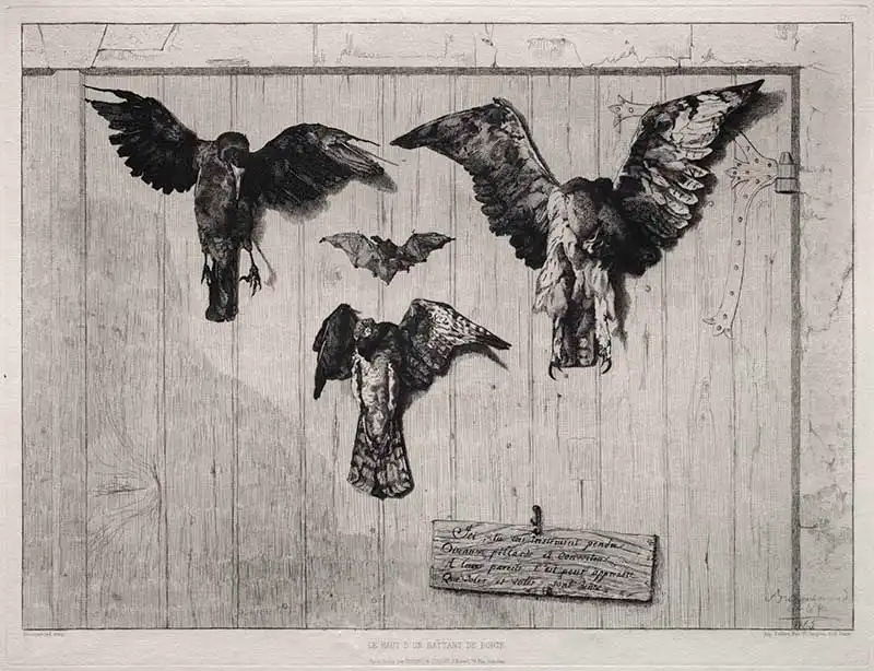 dead birds pinned to a swing door spooky halloween image