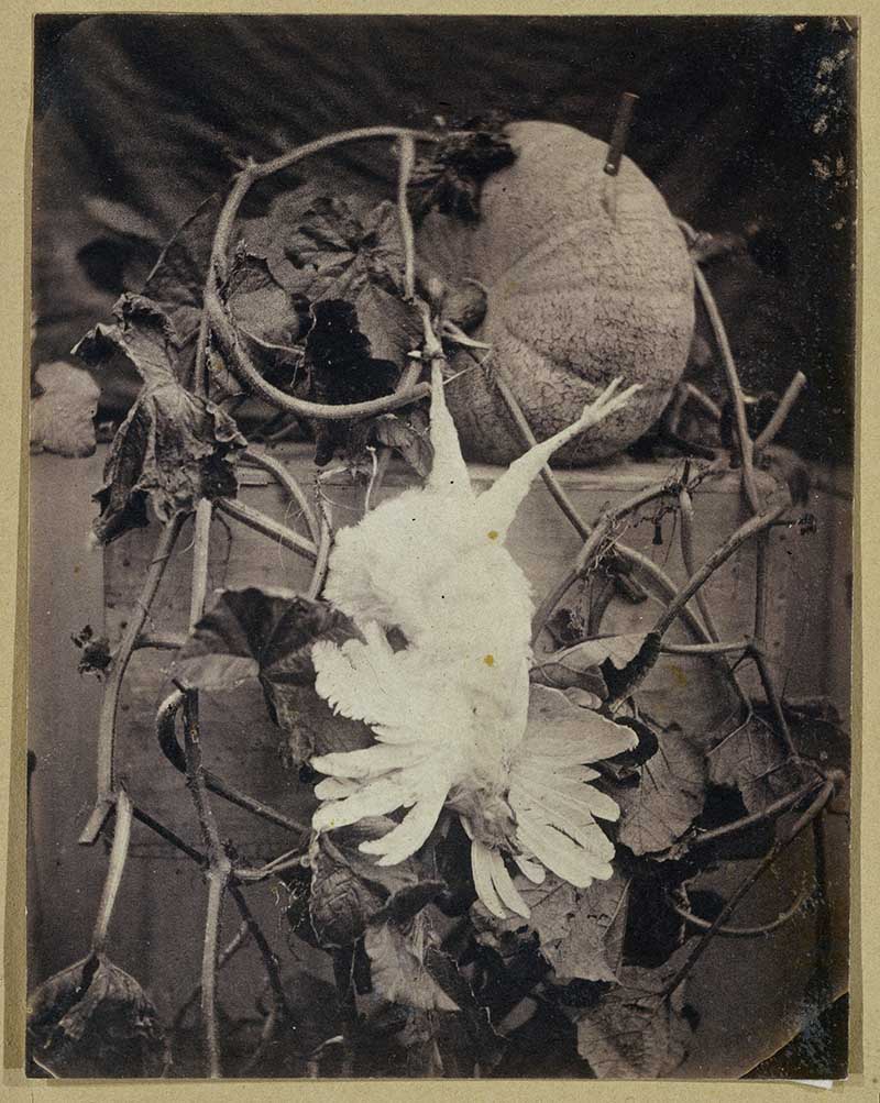 Still life with dead bird and pumpkin, Eduard Isaac Asser, c. 1855
