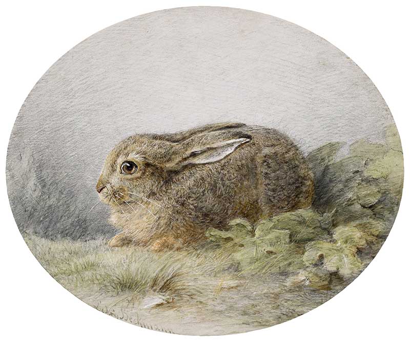 Brown Hare by Ludwig Beckmann