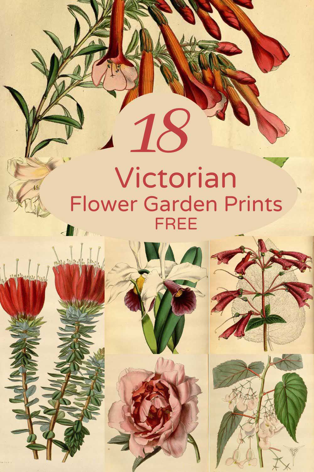 18 Victorian flower garden prints pin