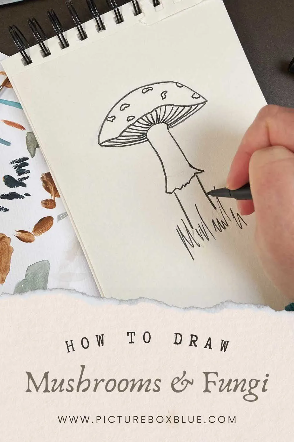 How to draw toadstools, mushrooms and fungi