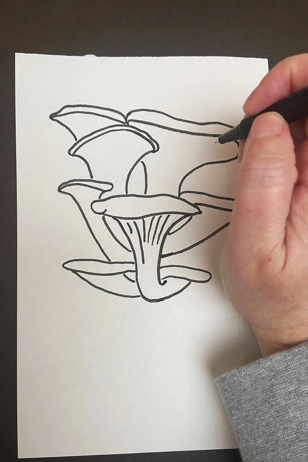 how to draw oyster mushrooms