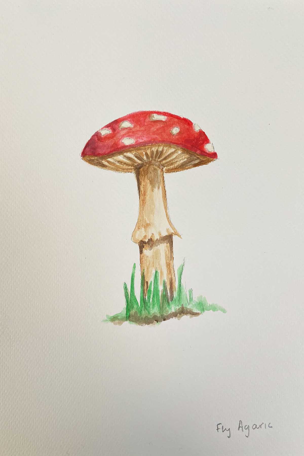 Finished drawn and painted fly agaric mushroom