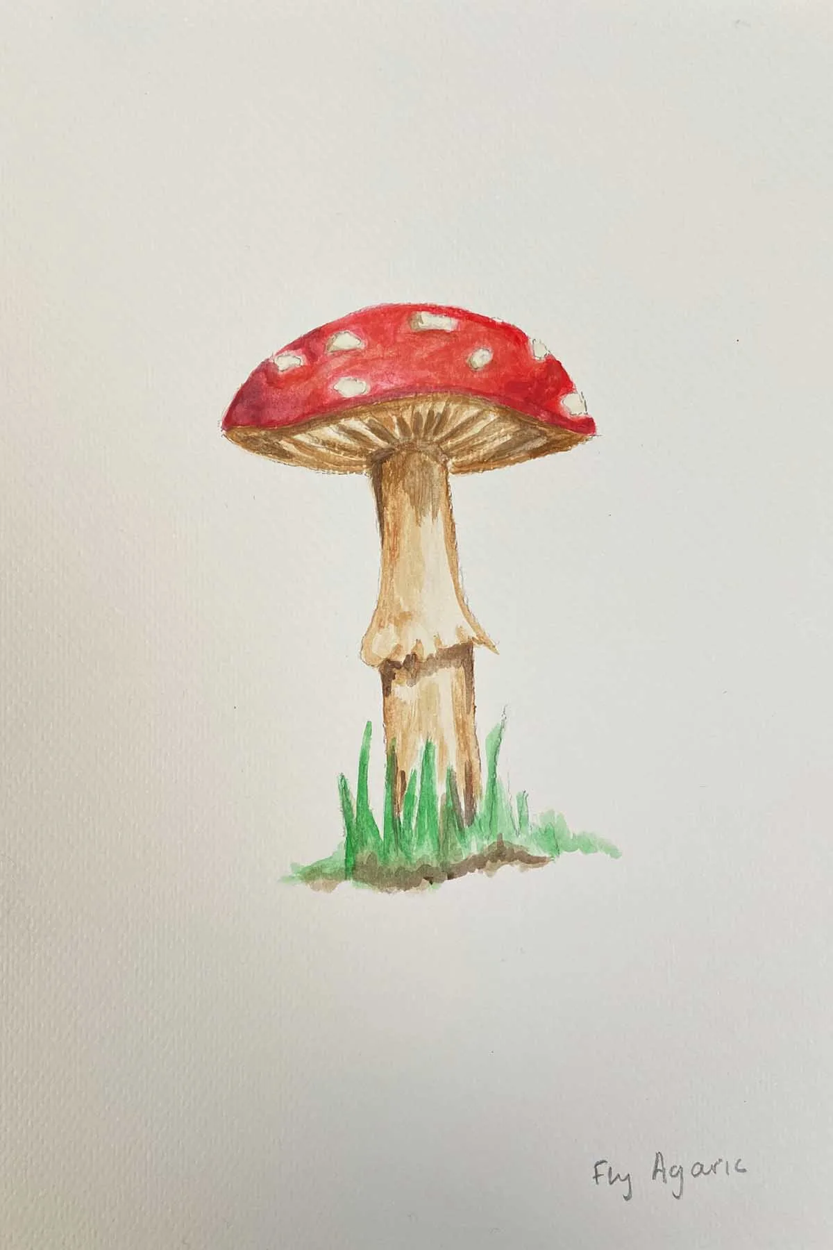 Finished drawn and painted fly agaric mushroom