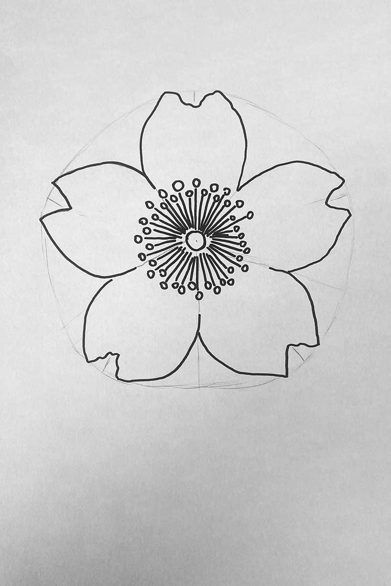 drawing the center of the flower