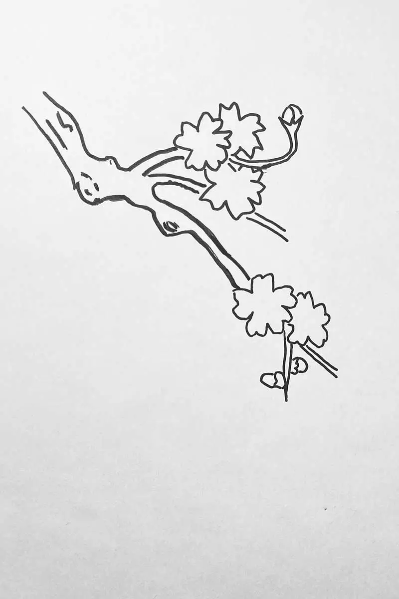 step 2 drawing blossom onto branch