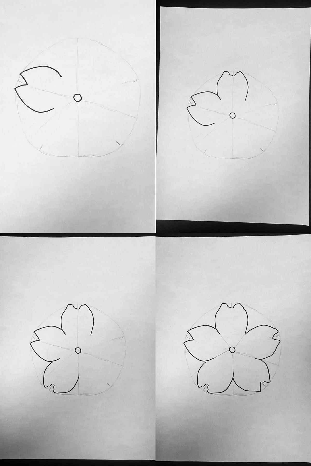 step by step drawing cherry blossom petals