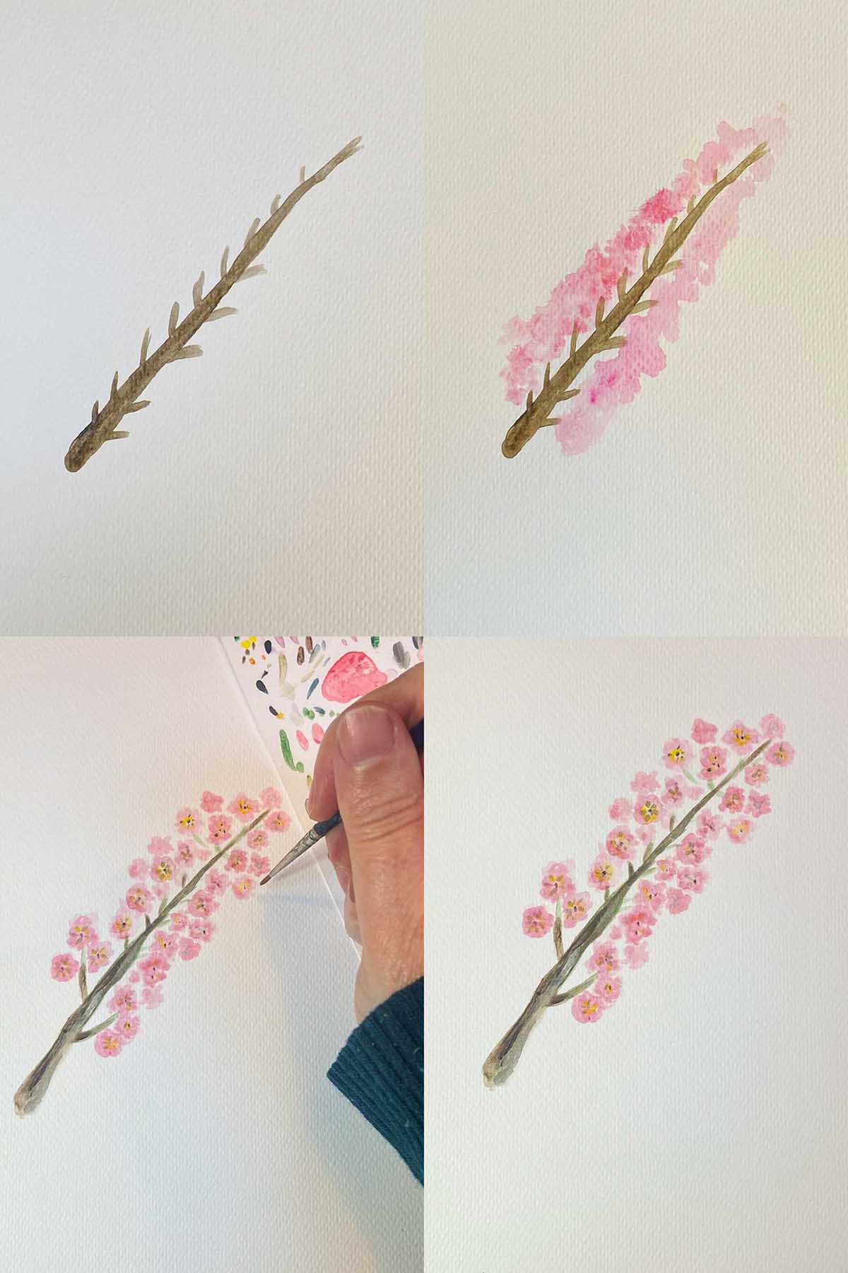The steps to painting watercolour cherry blossom branch