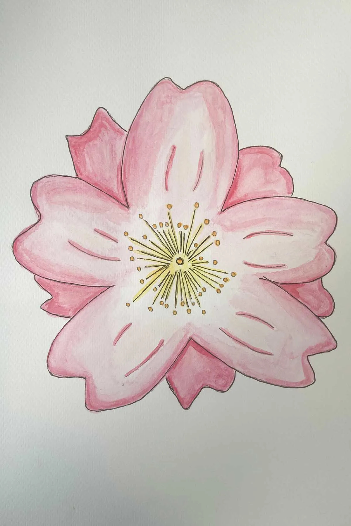 Watercolour pink painted flower