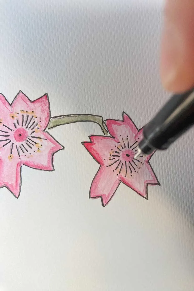 close up of adding outline detail to blossom flower