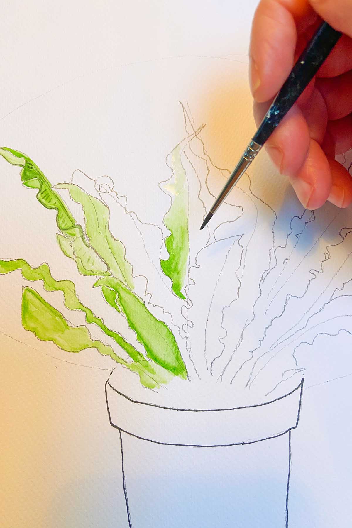 Painting a birds nest fern with watercolours