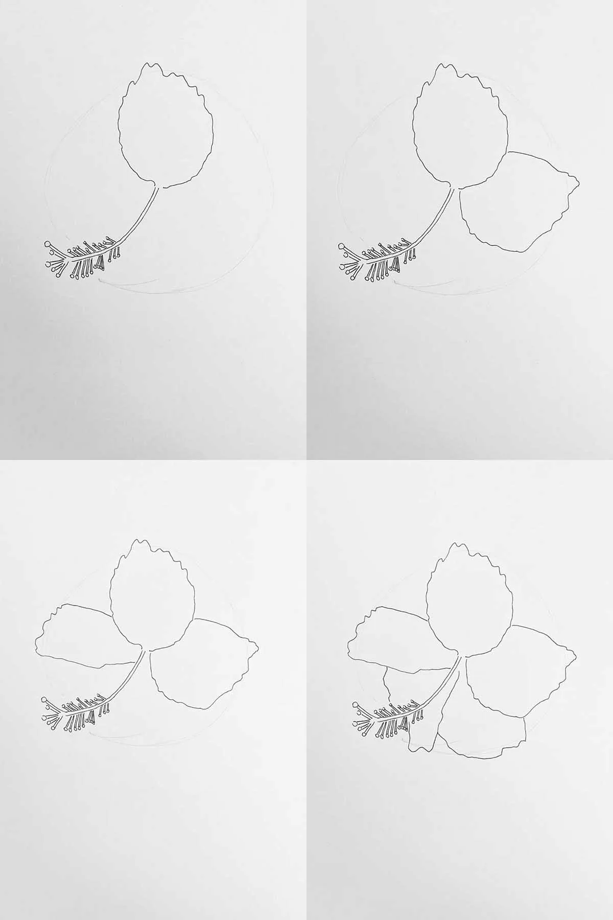 step by step hanging flower drawing