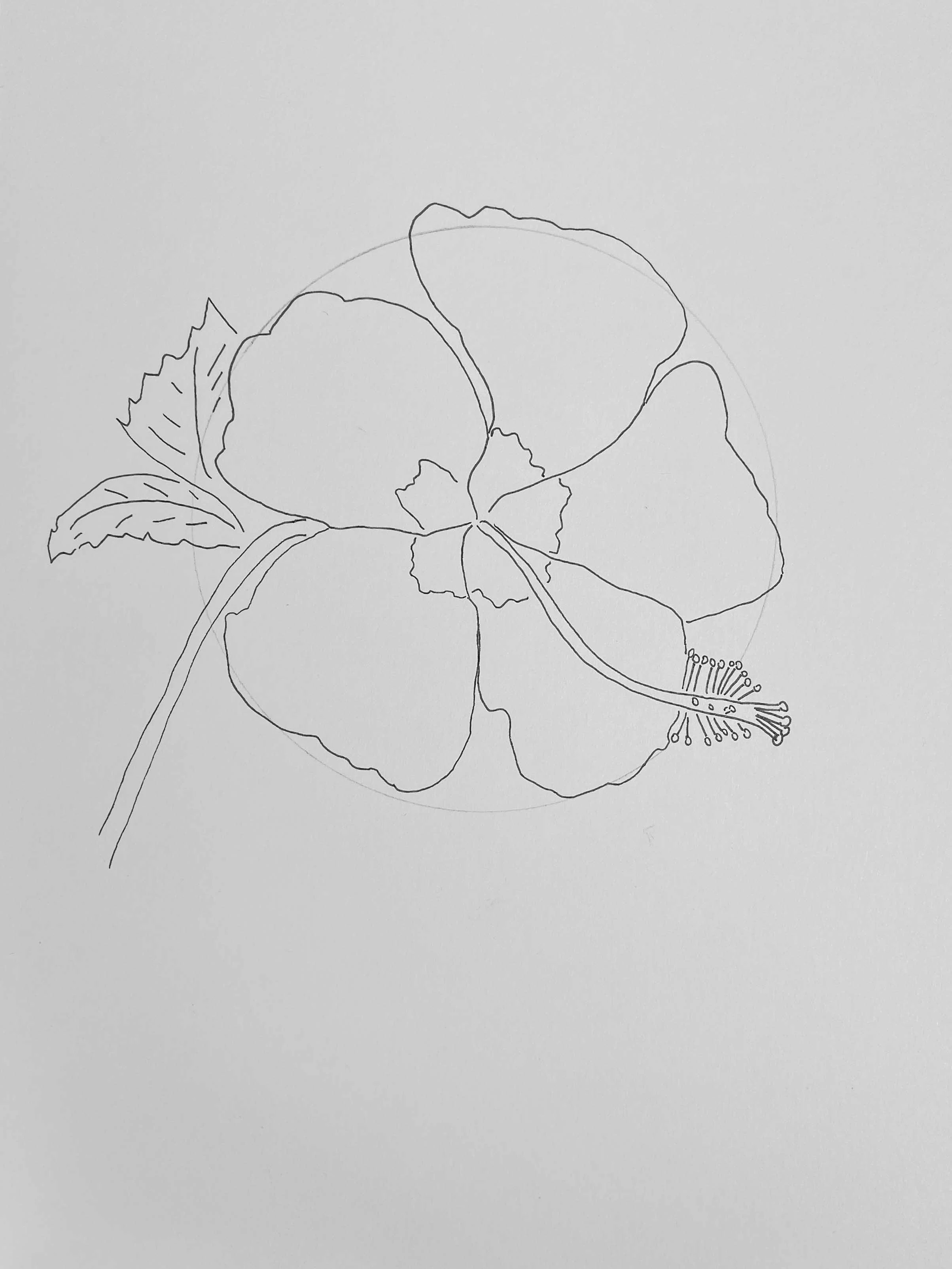 Drawing a stem and leaf to flower