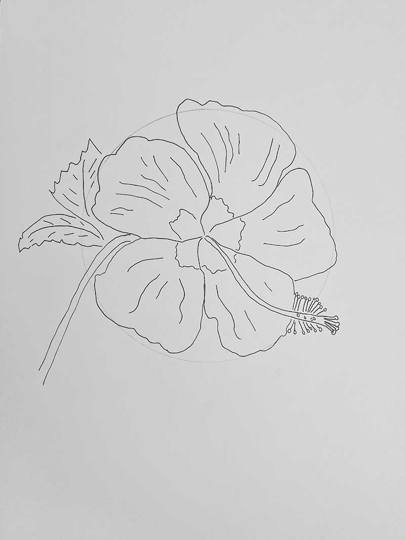 Line drawing of a Hawaiian Hibiscus flower