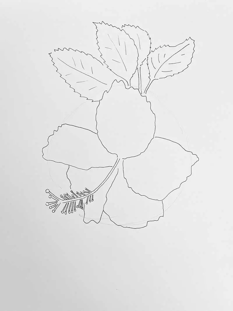 Adding the leaves to the hanging flower drawing
