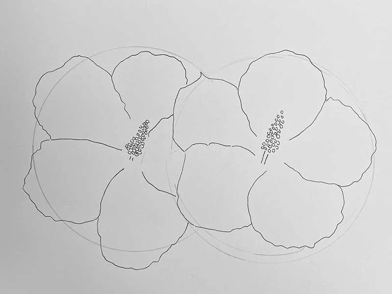 Step 4 in drawing a double flower