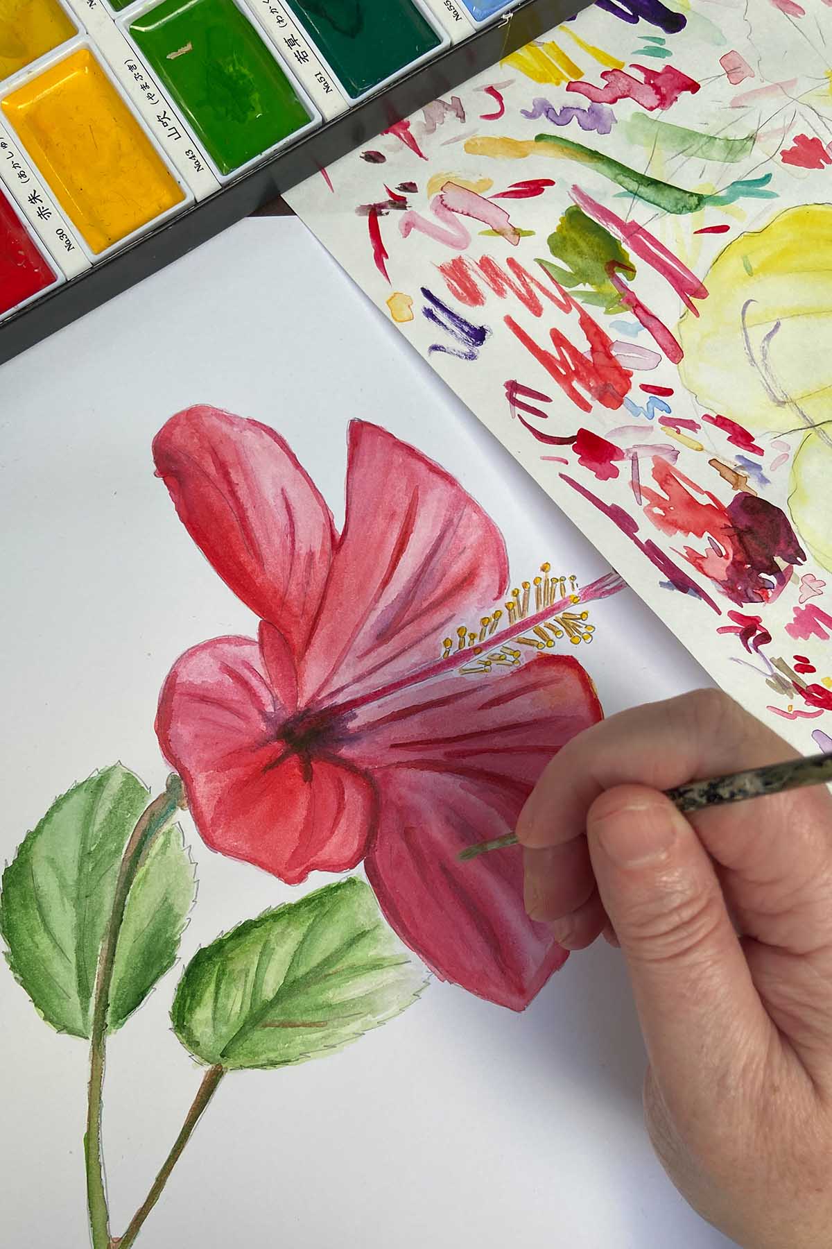 watercolour painting a hibiscus plant