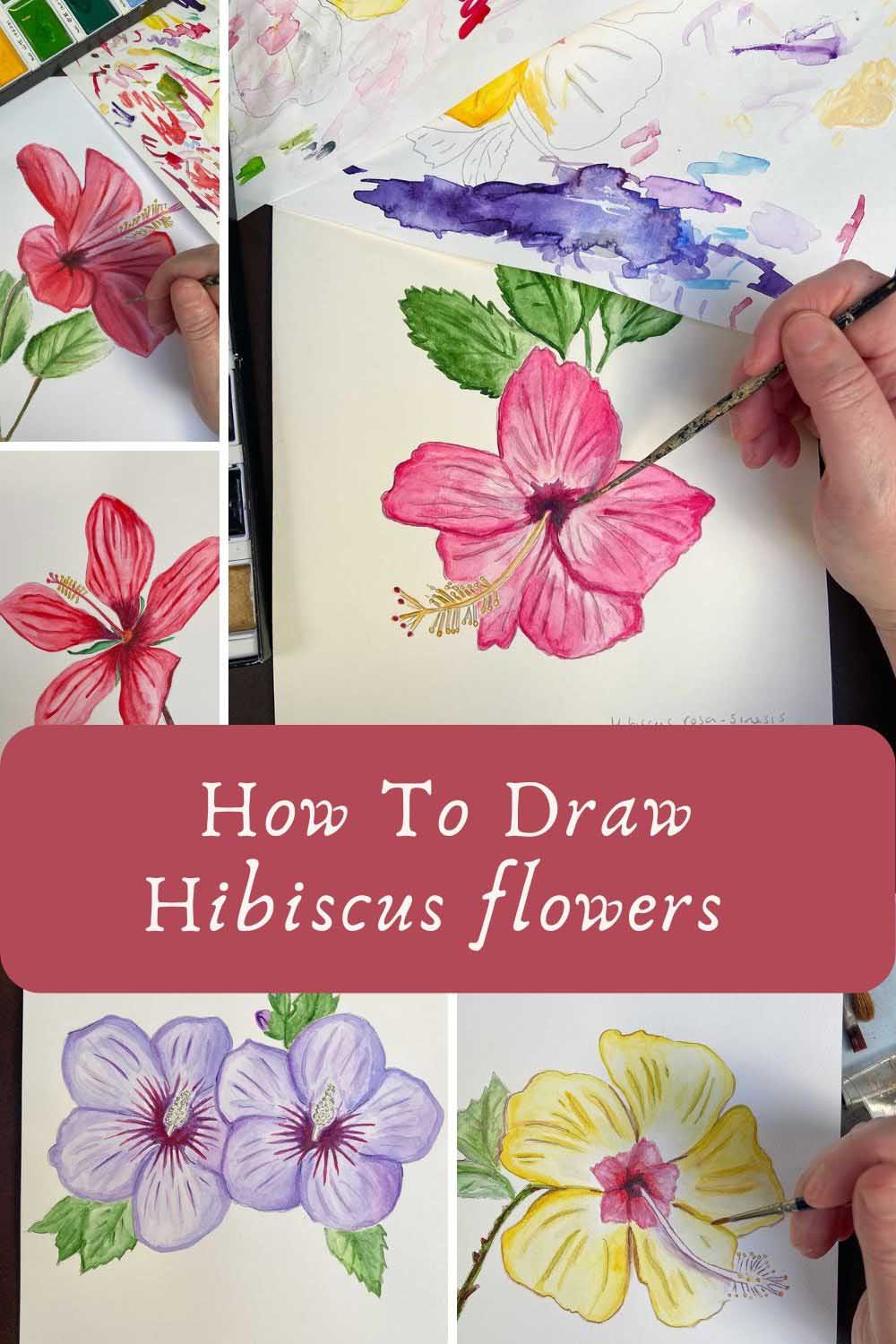How to draw six different hibiscus flowers pin