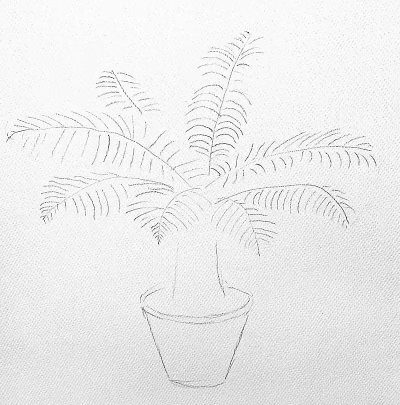 sketching the plant outline in a pot