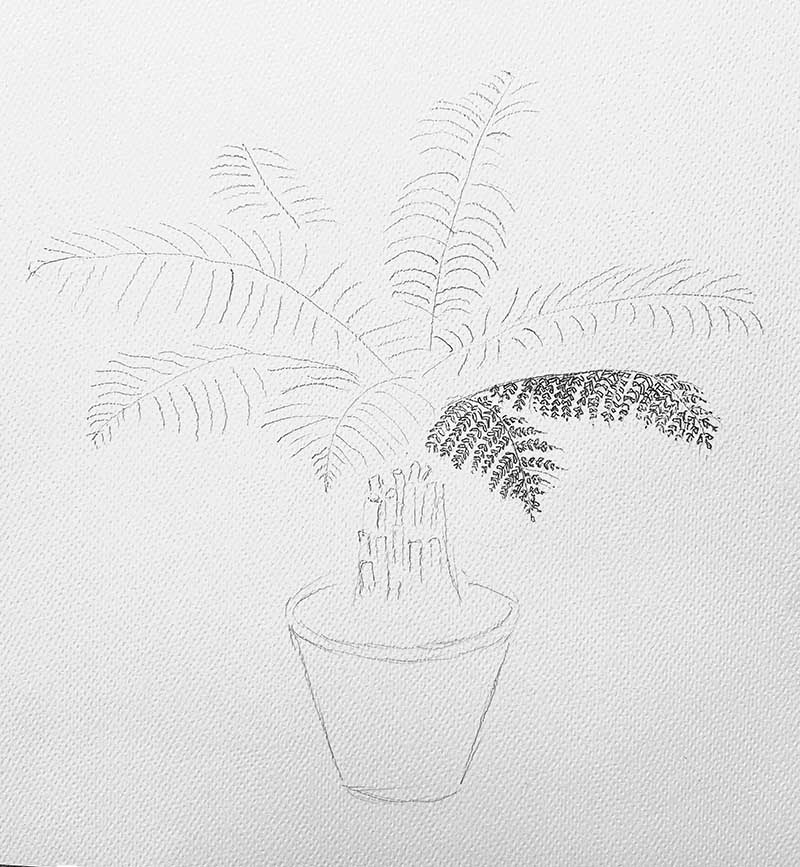 sketching the potted tree fern step 2