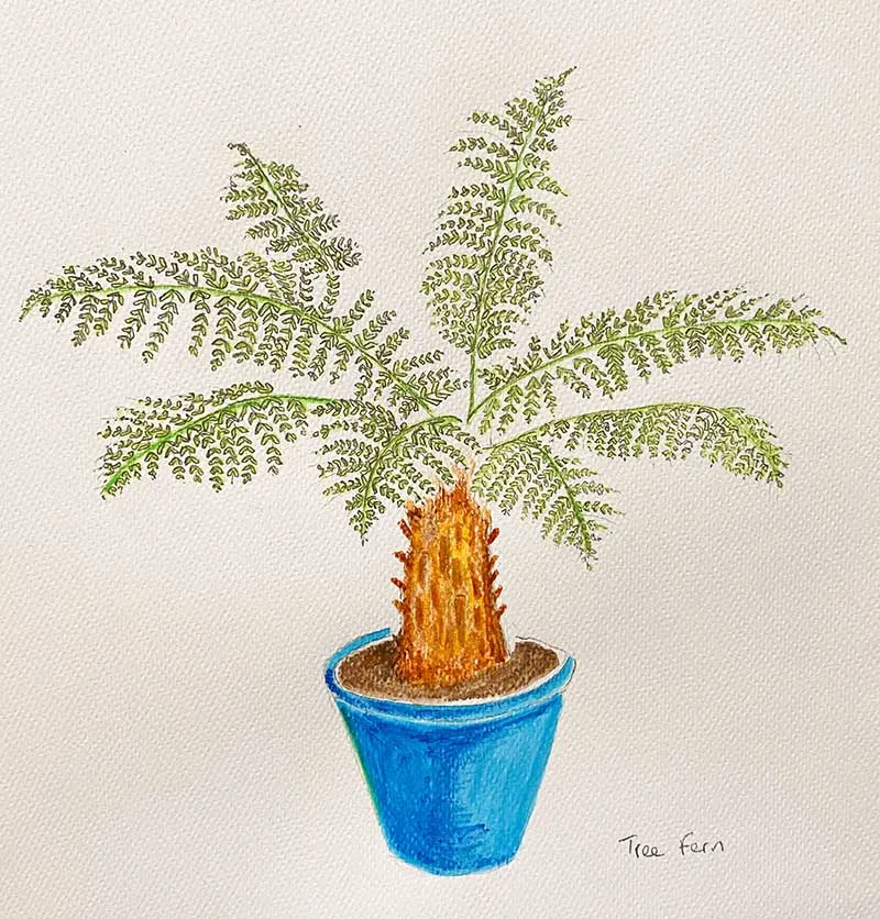 painted potted fern plant