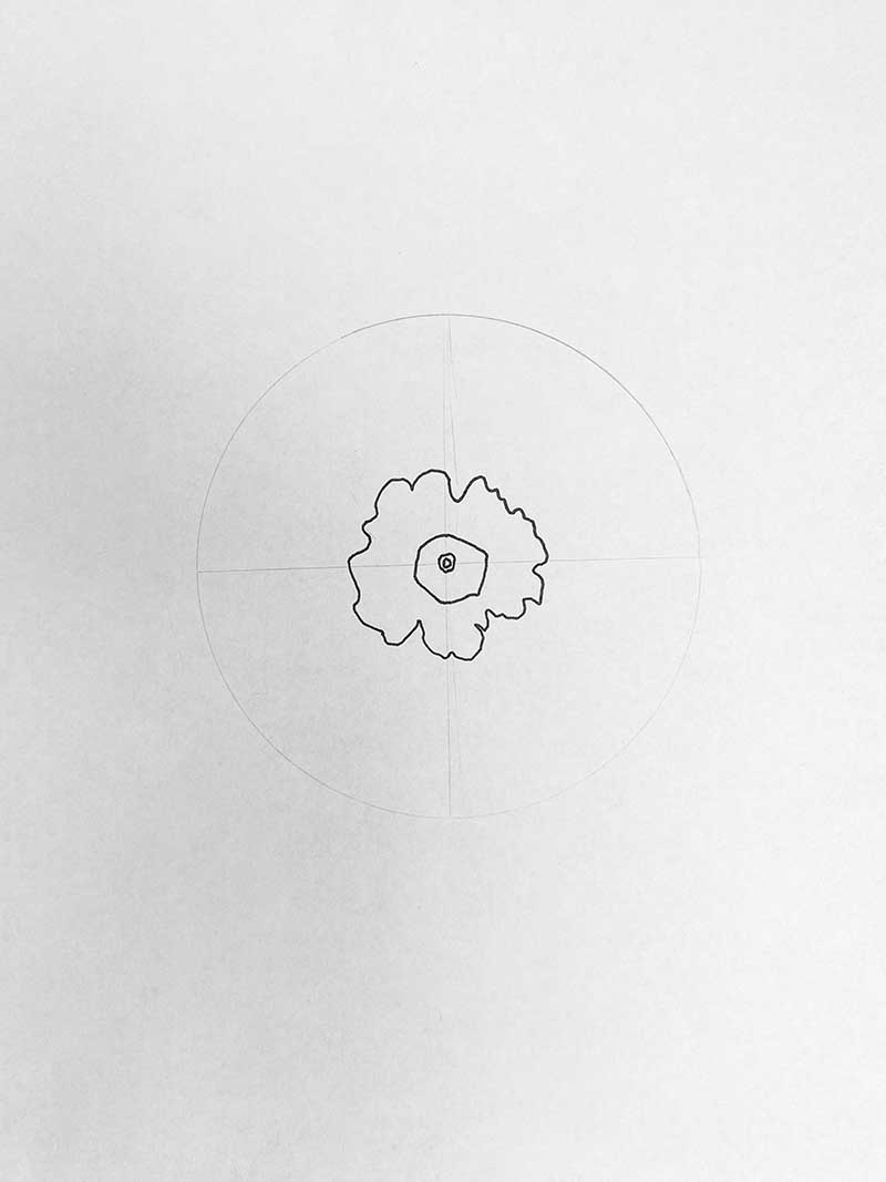 first step of drawing daffodil face on