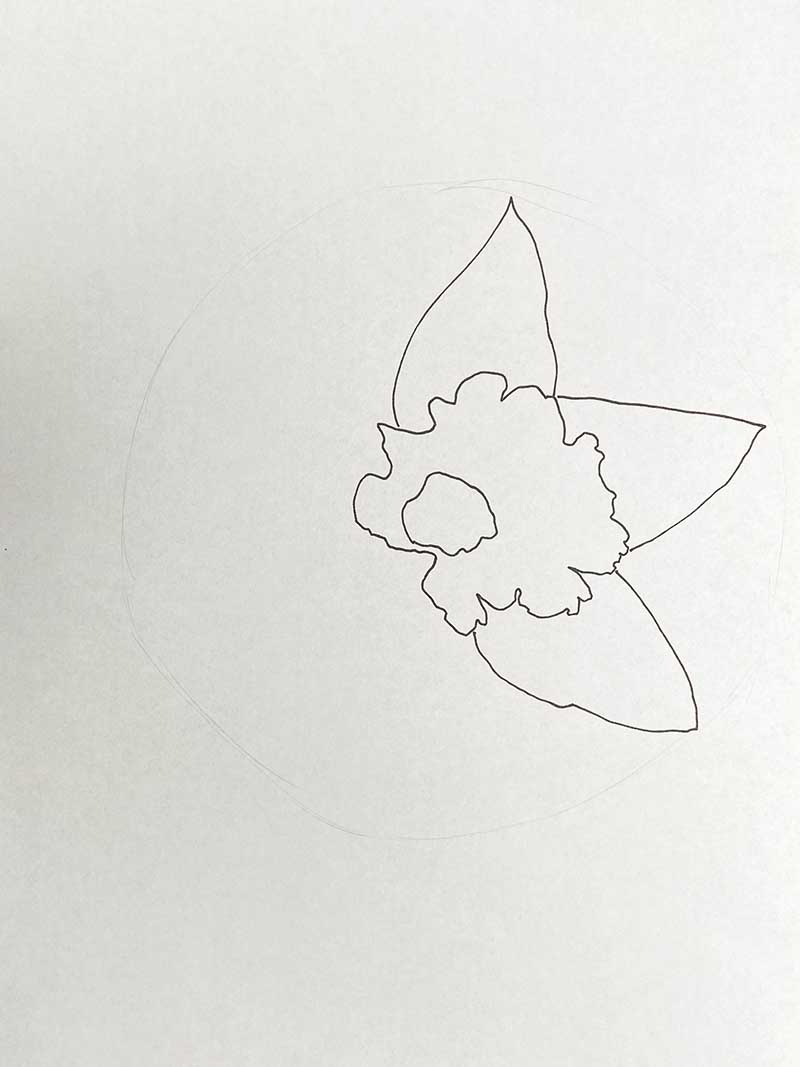 drawing in the first 3 flower petals