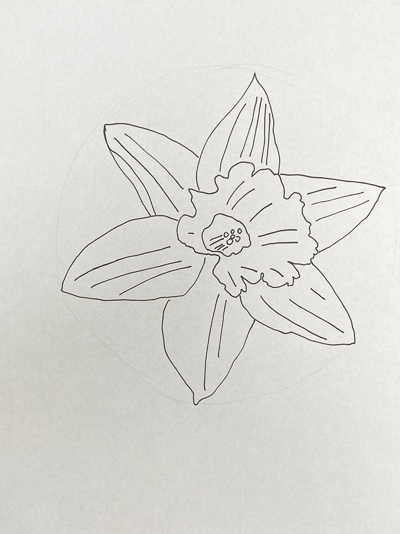 adding the details to daffodil flower side angle