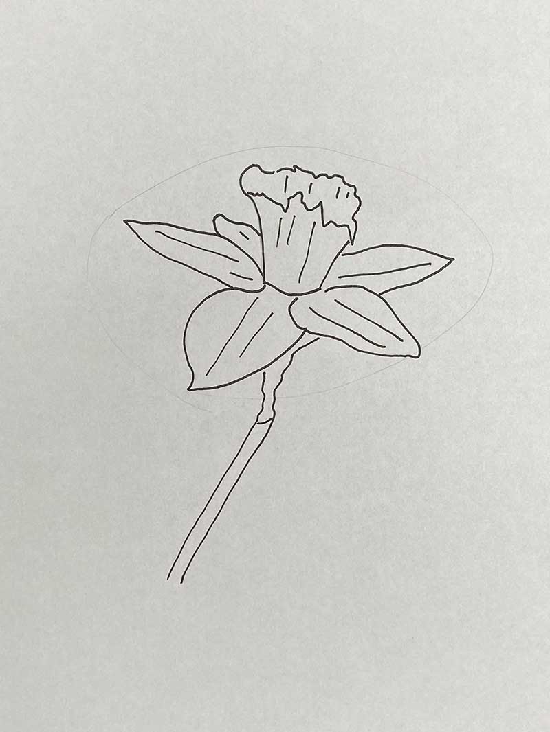step 3 of drawing a daffodil side on adding details
