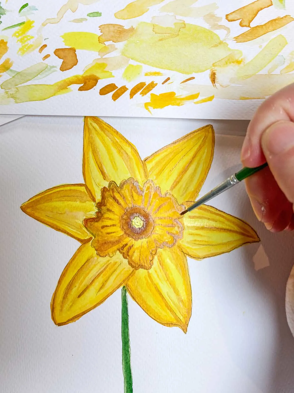 How to draw a daffodil flower and paint it
