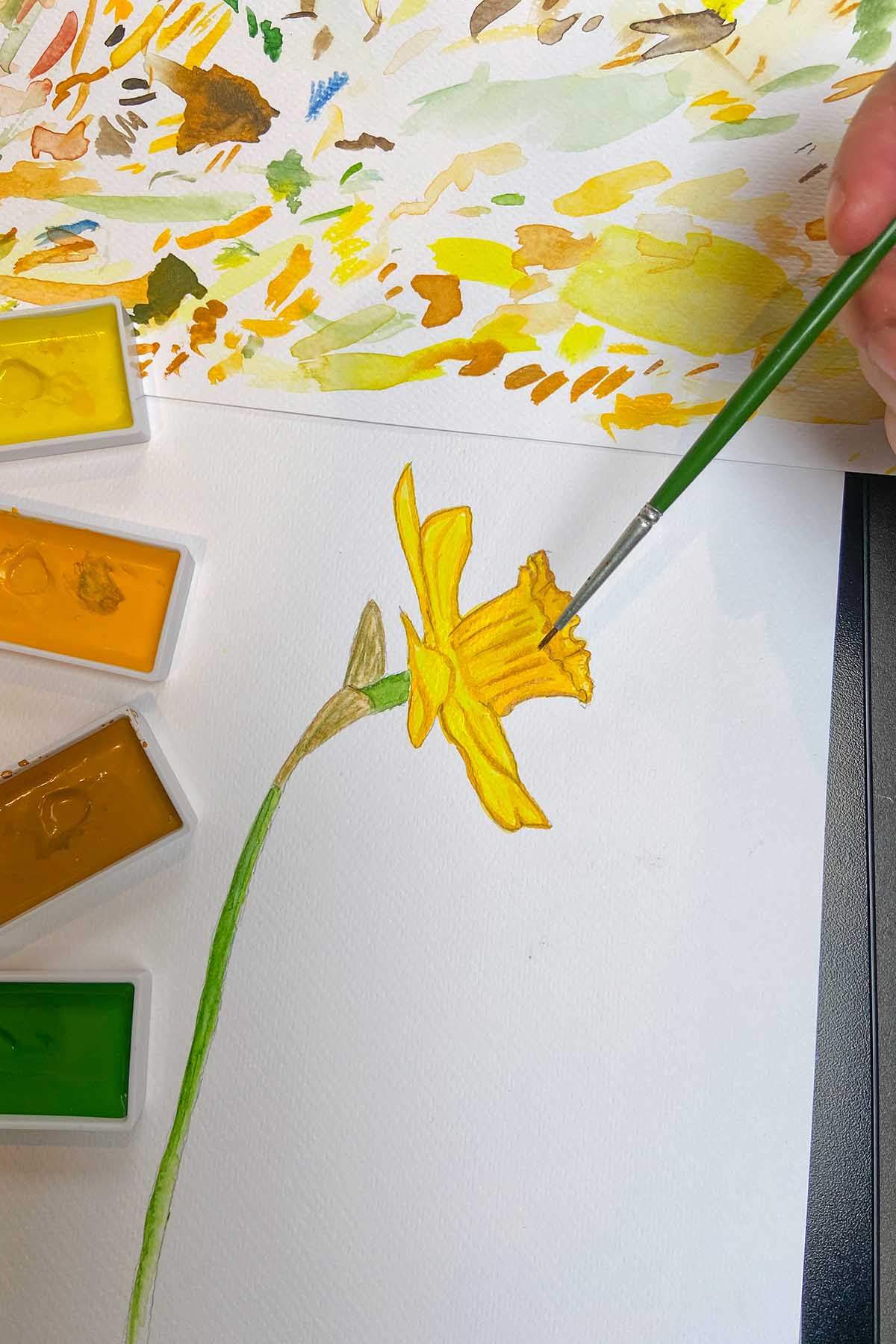 Painting a daffodil with brush by hand with watercolour paint