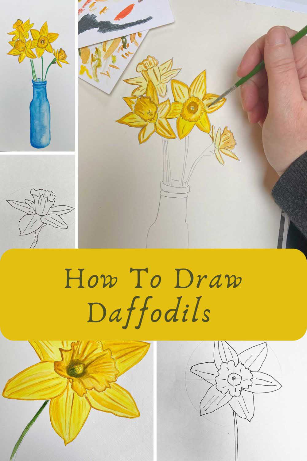 how to draw daffodils from different perspectives pin