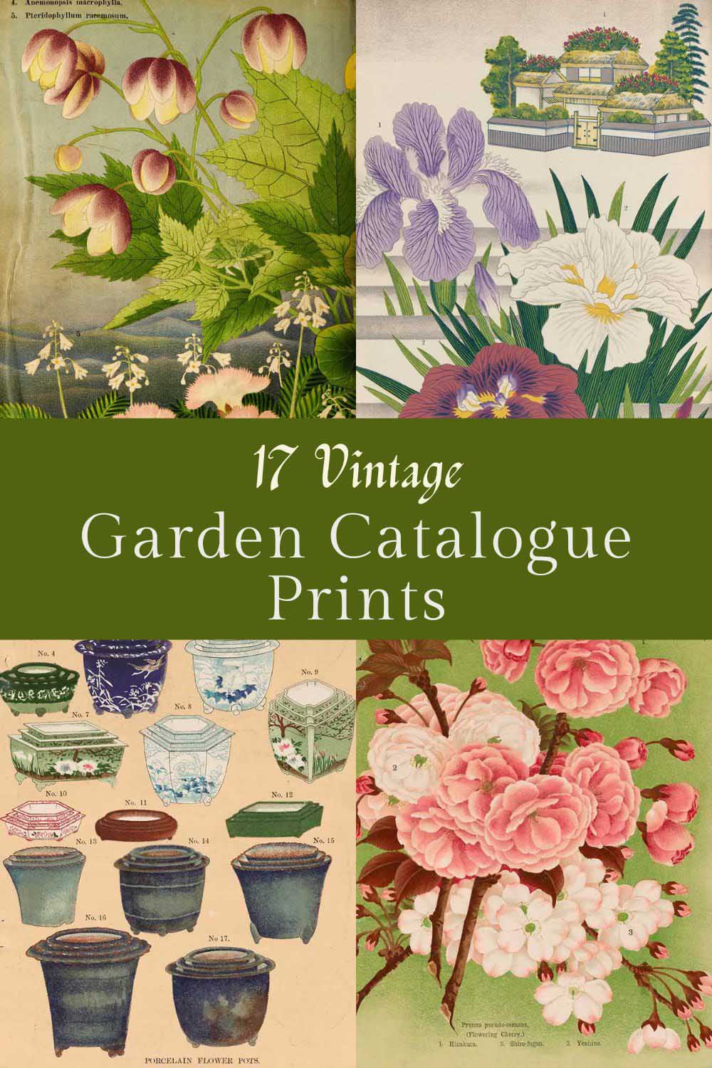 Vintage Garden Catalogue prints from the Yokohama Nursery