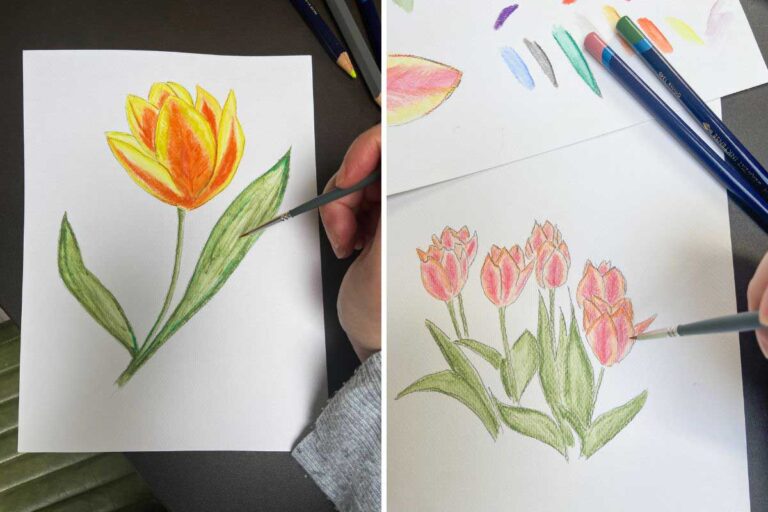 Easy How To Draw Tulips: Step-by-Step Guide with Watercolors