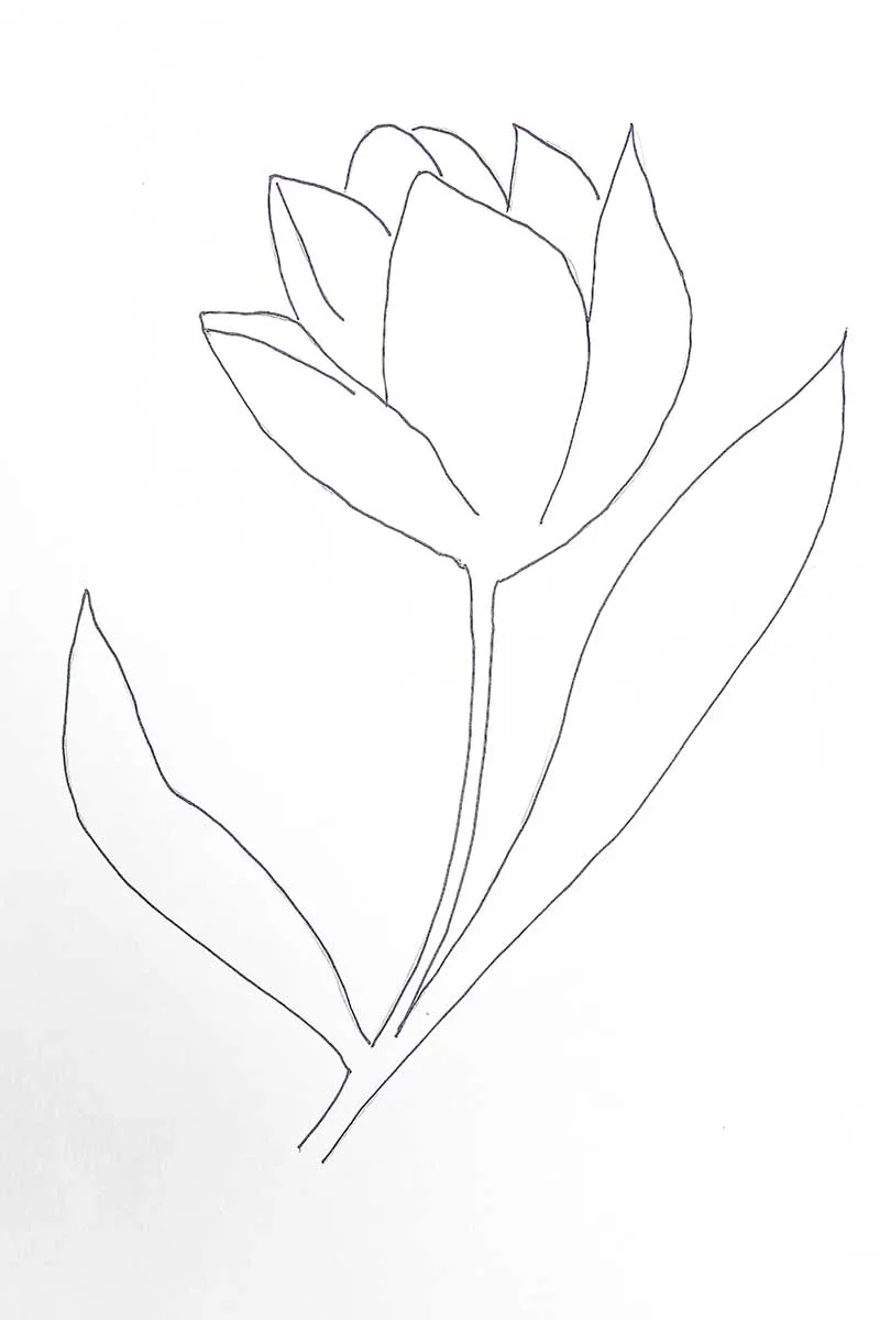 drawing the stem and leaves to the tulip in this how to draw a tulip tutorial.