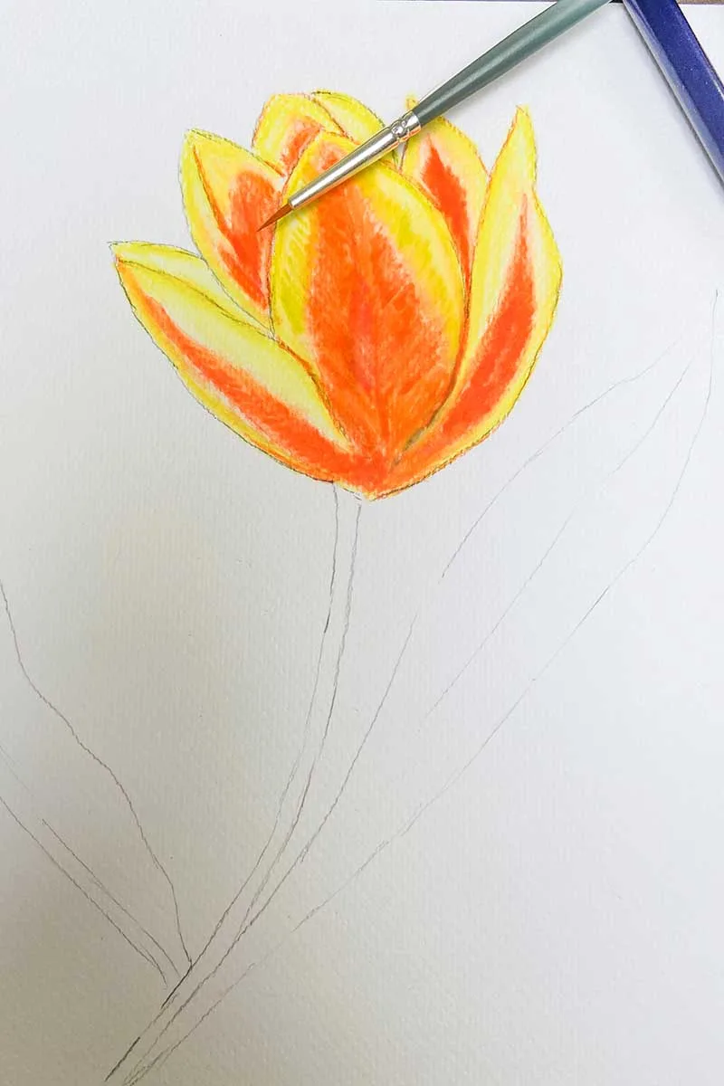 blending the watercolors on tulip drawing