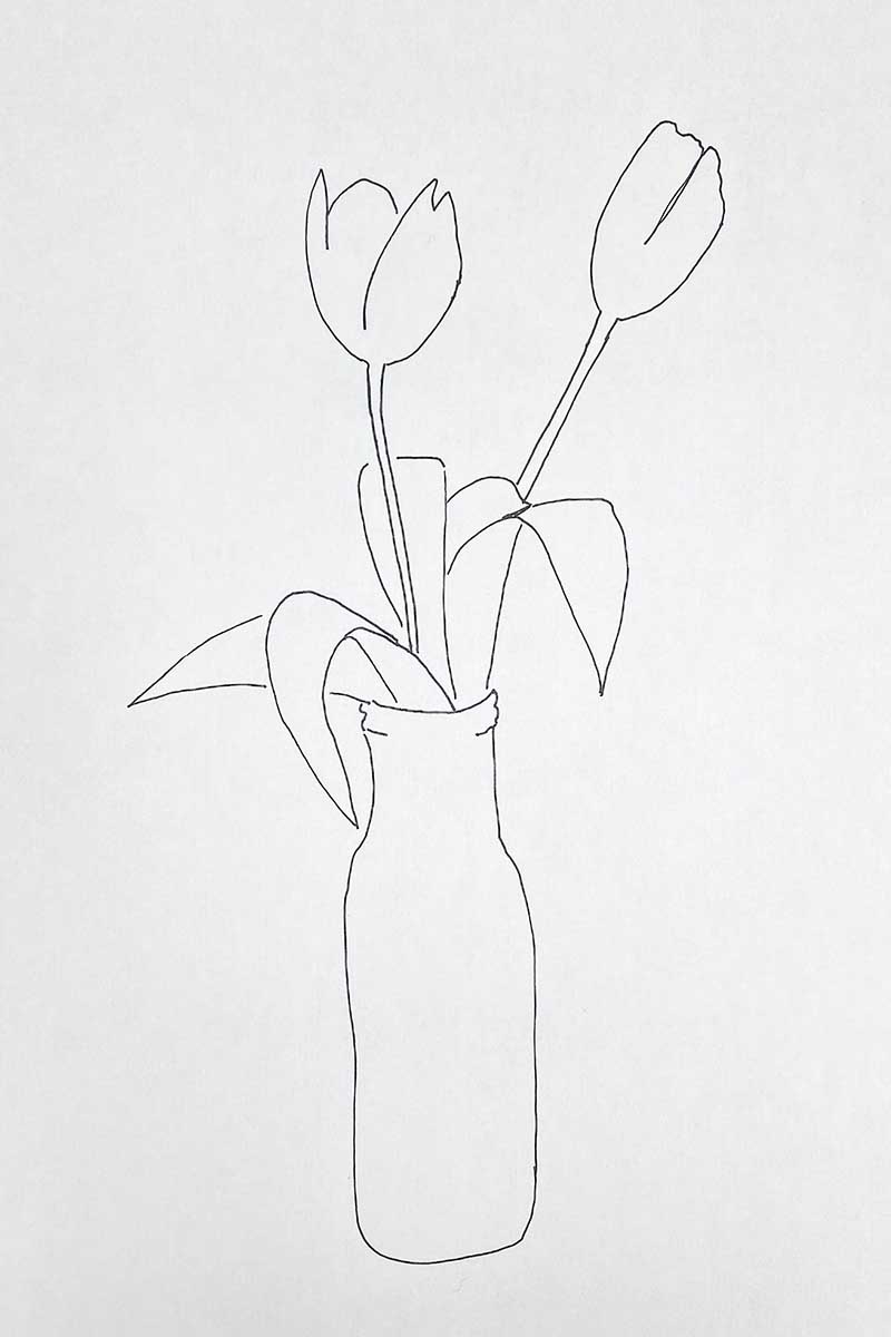tulips in vase pencil drawing outline