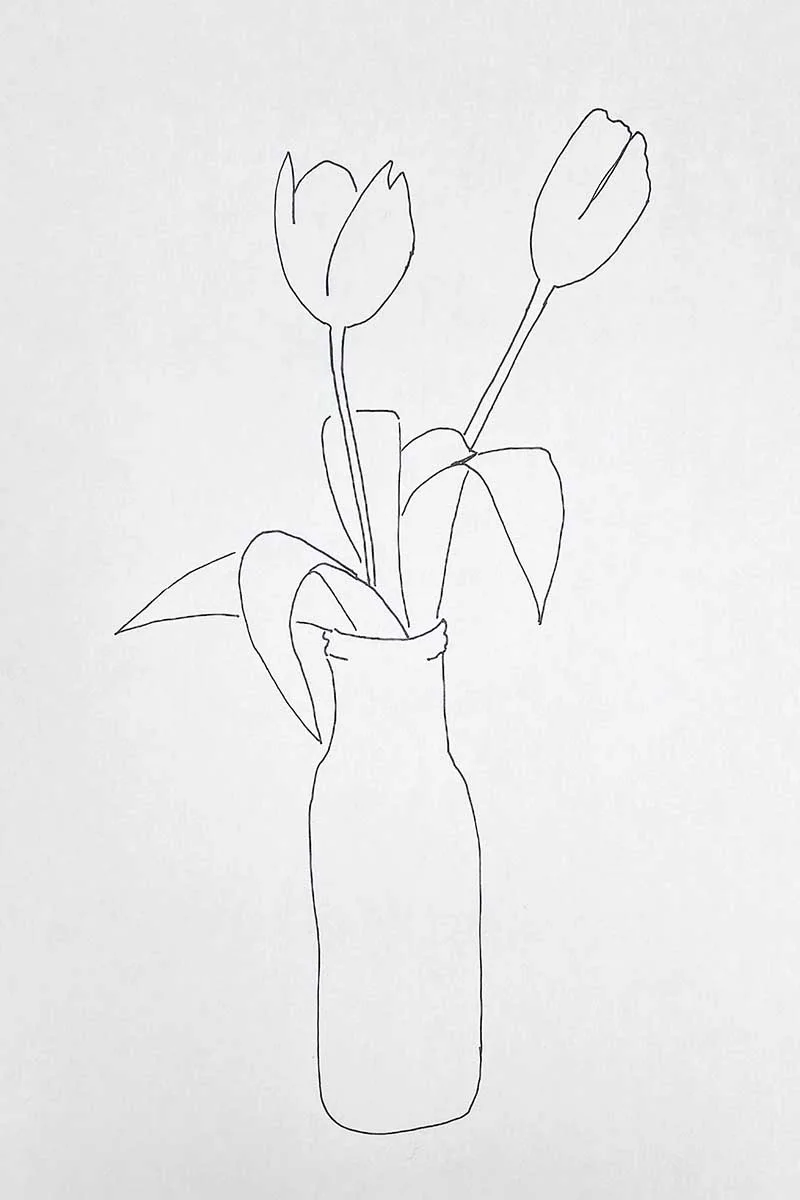 tulips in vase pencil drawing outline