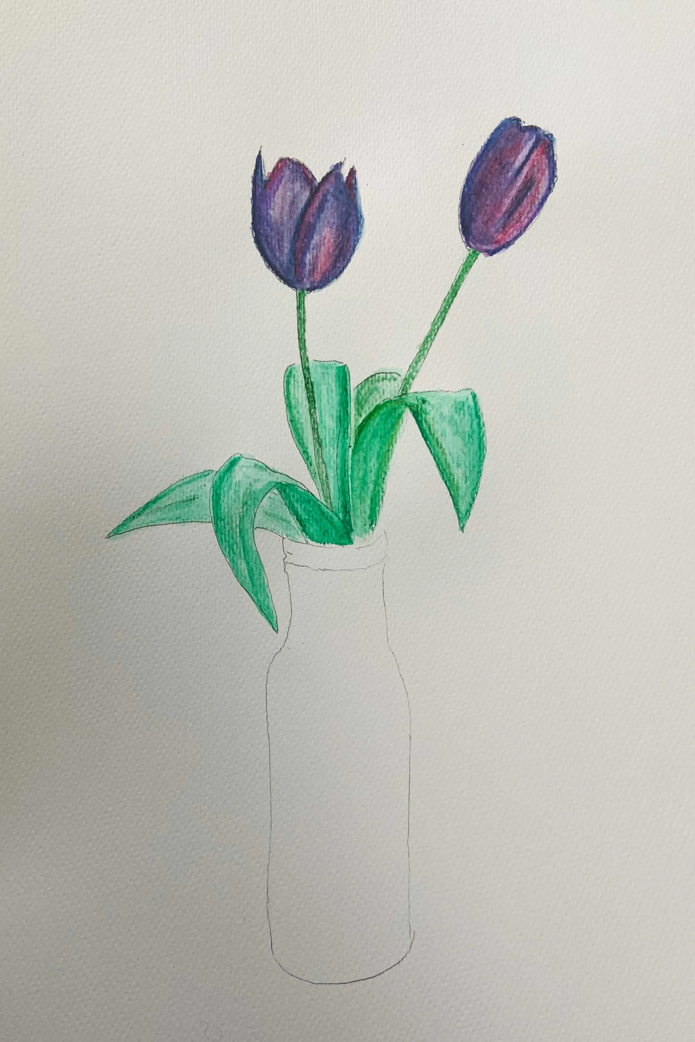 Painting drawn tulips in a vase with watercolour pencils