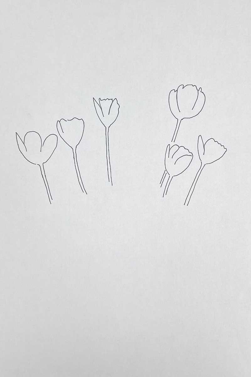 how to draw tulips growing