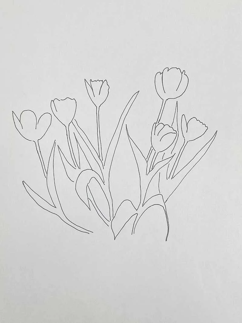 how to draw growing tulips