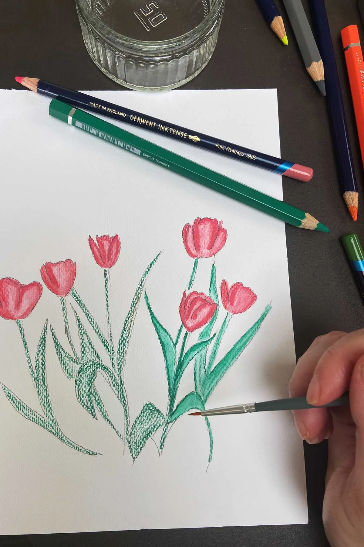 colouring tulips with watercolour pens and water brush. showing hand and pencils