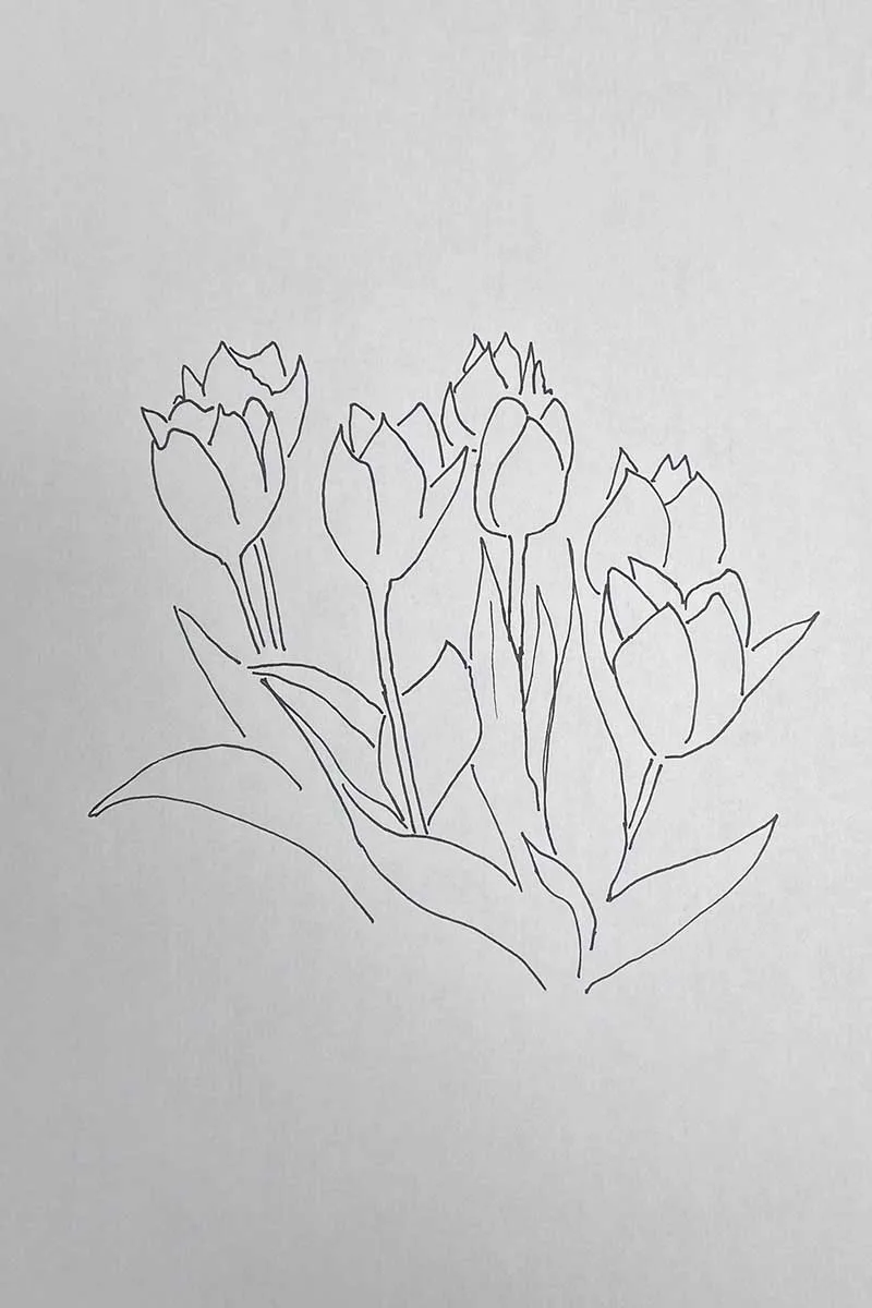How to draw a bunch of tulips pen outline