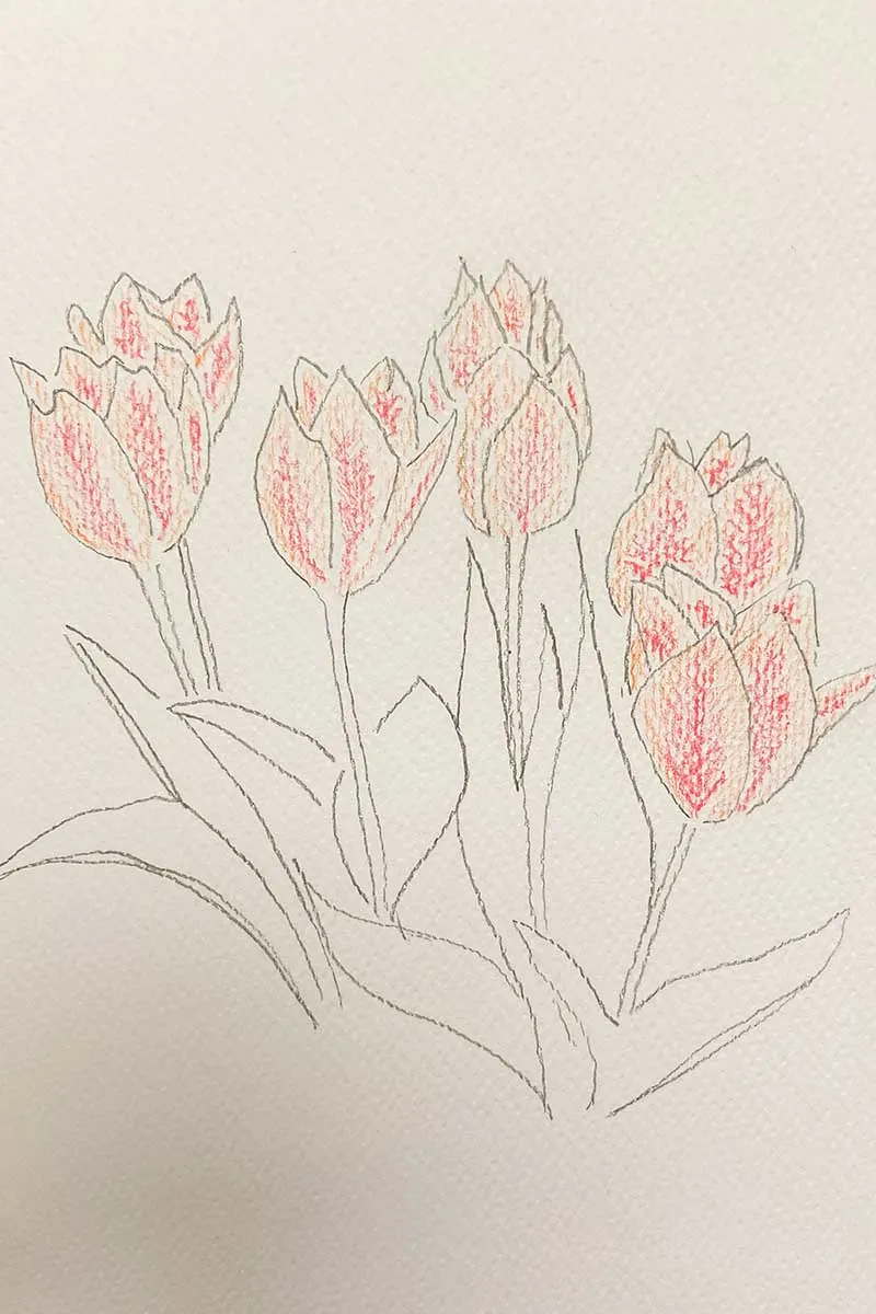 Painting tulip petals