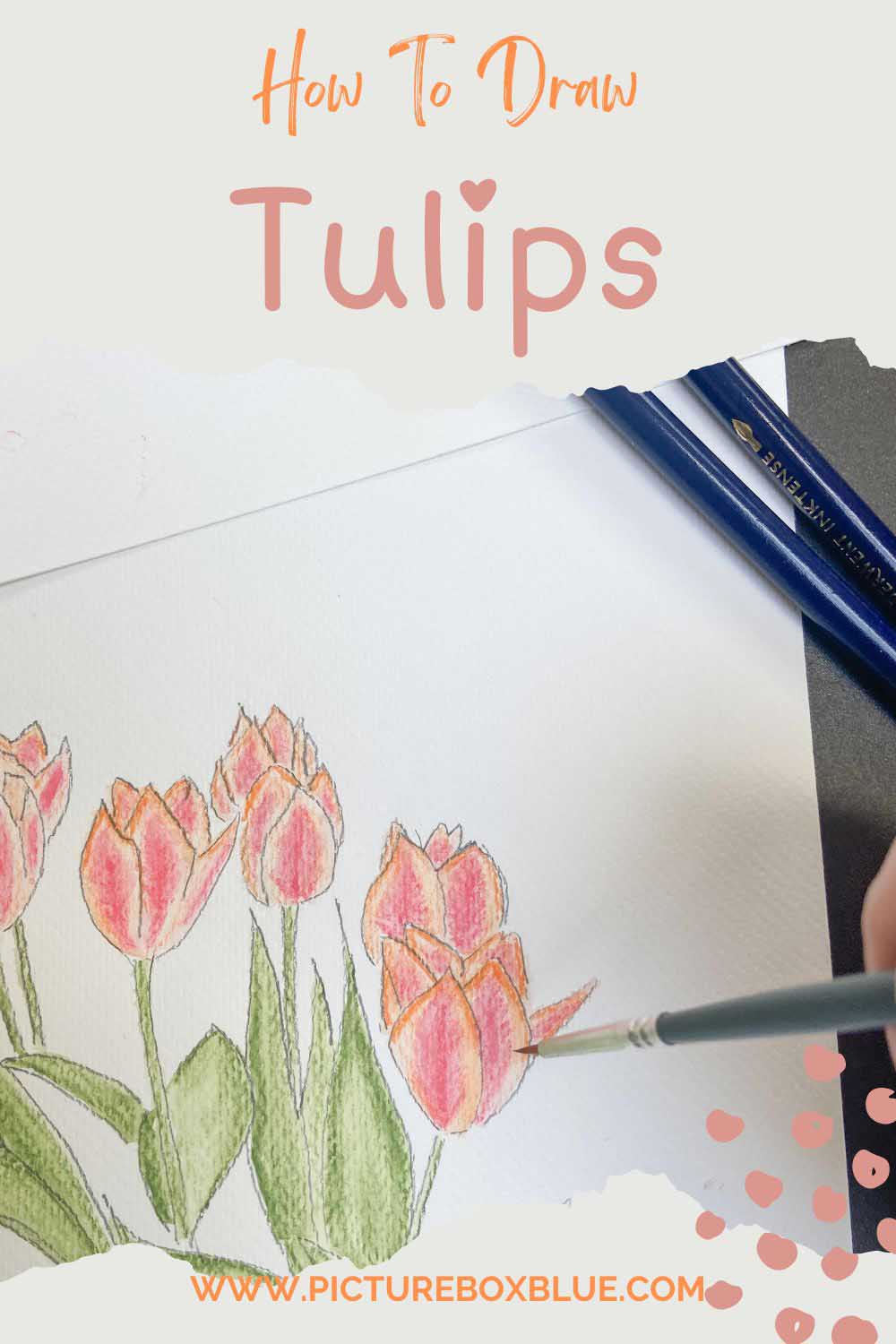 How to draw tulips pin