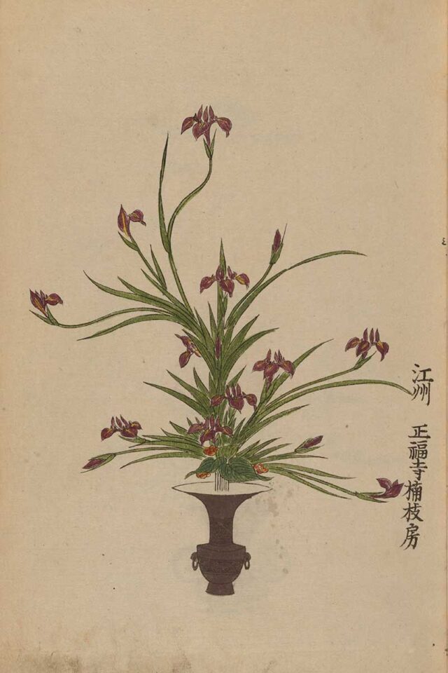 Take A Look About Japanese Flower Artist
