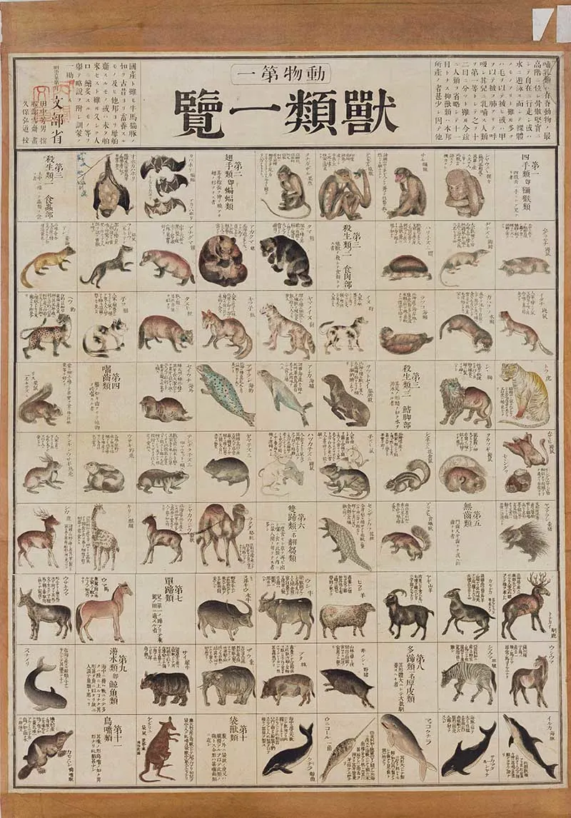 Vintage Japanese educational wall chart of mammals