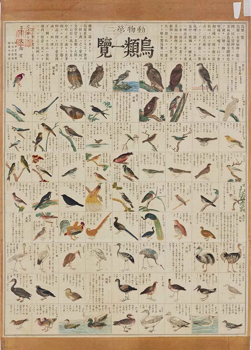 Vintage educational wall chart of Japanese birds