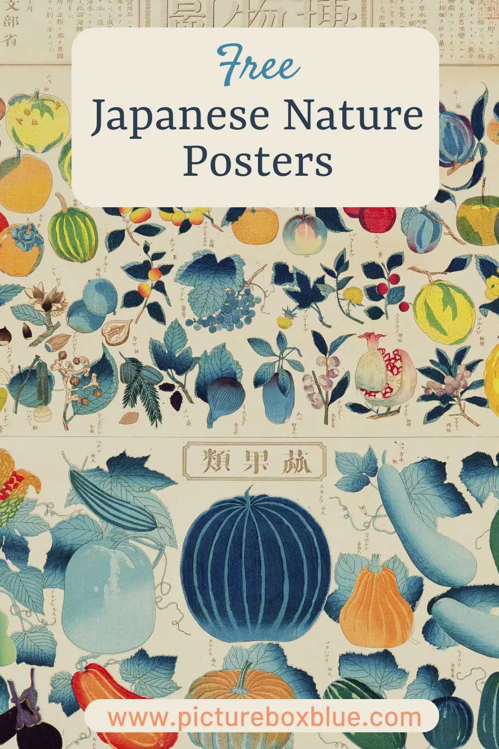 Japanese plant of charts print with text